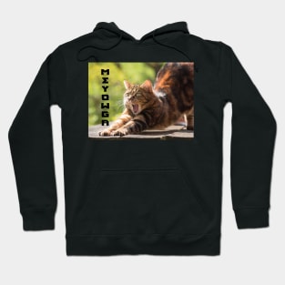 Cat Yoga Meyowga Yoga Pose Hoodie